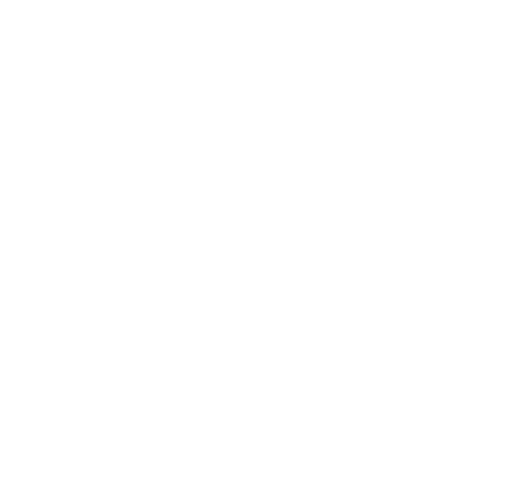 Sponsor