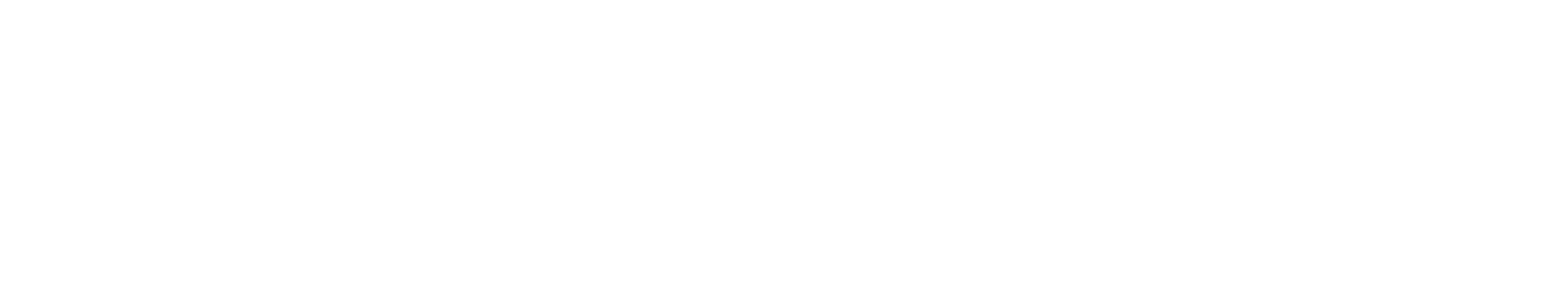 Sponsor